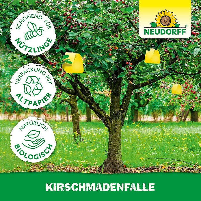 Neudorff Kirschmadenfalle (7 Stk.)