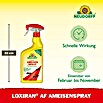 Neudorff Loxiran Ameisenspray (750 ml)