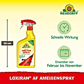 Neudorff Loxiran Ameisenspray (750 ml)