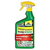 Neudorff BioKraft Grundstoff Essig AF (1 l) | BAUHAUS