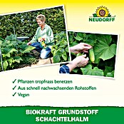 Neudorff BioKraft Grundstoff Schachtelhalm AF (500 ml) | BAUHAUS