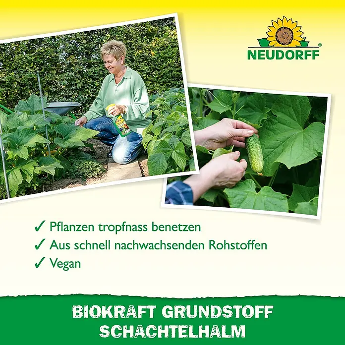 Neudorff BioKraft Grundstoff Schachtelhalm AF - 500 ml - Neudorff BioKraft Grundstoff Schachtelhalm, ein veganes Pflanzenstärkungsmittel aus nachwachsenden Rohstoffen, beim Besprühen von Pflanzen und Ernten von Gurken.