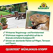 Neudorff Quiritox Wühlmaus-Stopp (200 g) | BAUHAUS