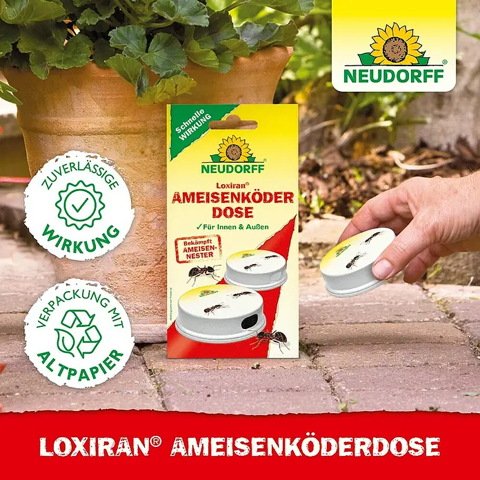 Neudorff Loxiran Ameisenköder - 2 Stk. - Produktfoto der Loxiran Ameisenköderdose von Neudorff zur Bekämpfung von Ameisen in Innen- und Außenbereichen.