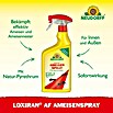 Neudorff Loxiran Ameisenspray (750 ml)