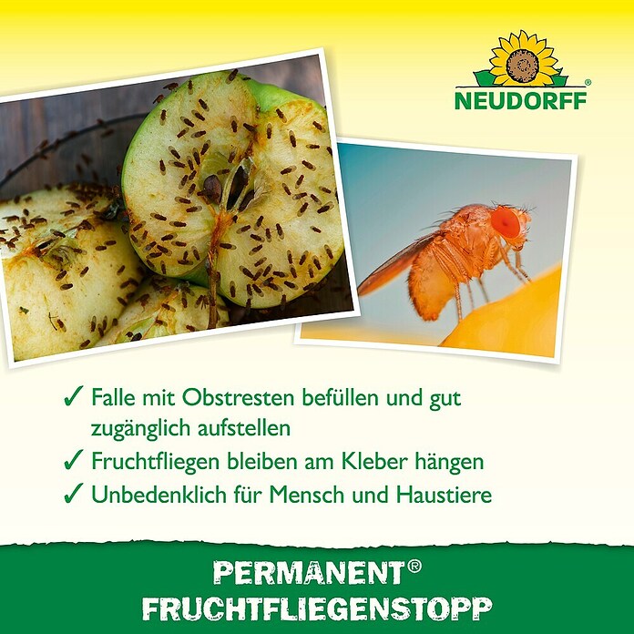 Neudorff Permanent Fruchtfliegen-Falle Fruchtfliegenstopp (3 Stk.) | BAUHAUS