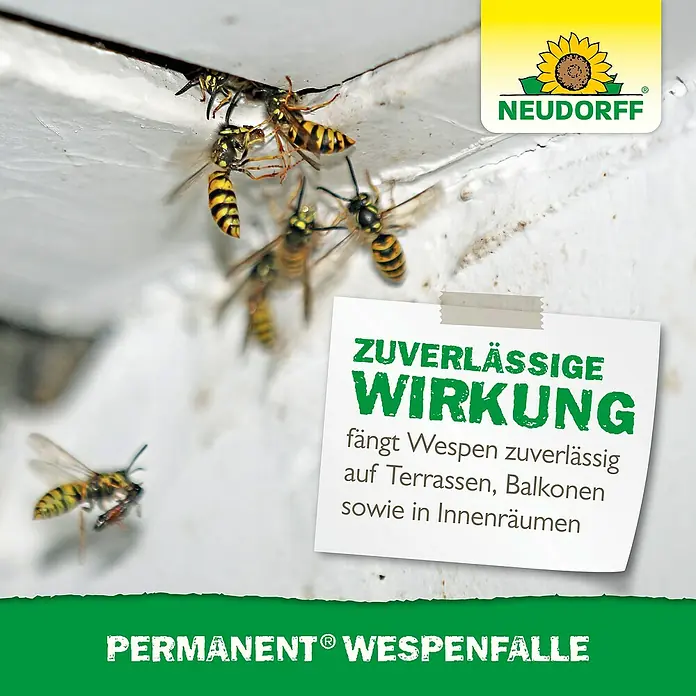 Neudorff Permanent Wespenfalle - 150 x 150 x 150 mm - NEUDORFF Permanent Wespenfalle, abgebildet mit Wespen, fängt diese zuverlässig drinnen und draußen.