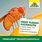 Neudorff Permanent Fruchtfliegen-Falle (1 Stk.) | BAUHAUS