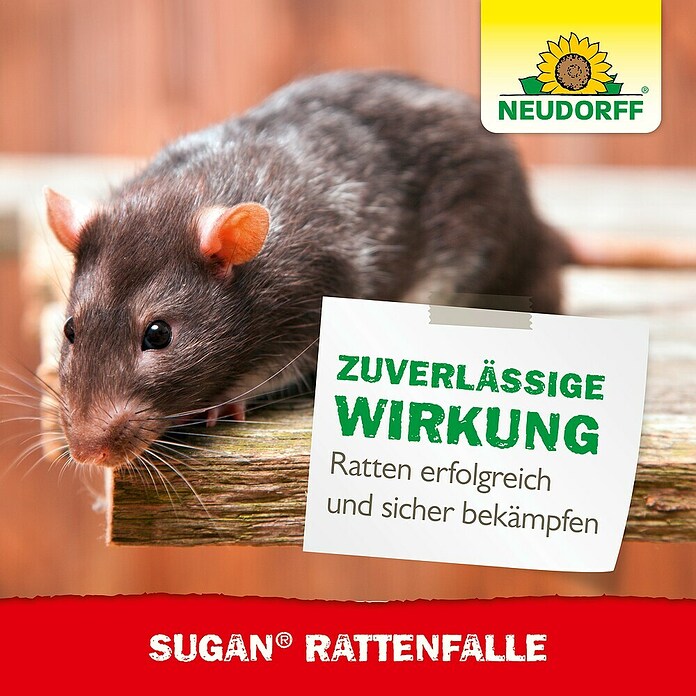 Neudorff Sugan Rattenfalle (Schlagfalle, Kunststoff) | BAUHAUS