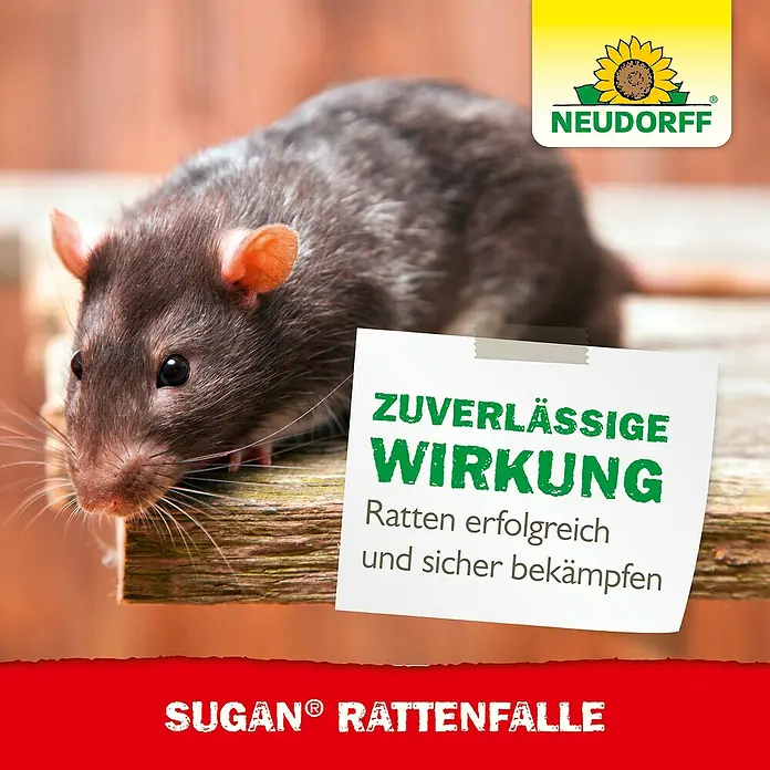 Neudorff Sugan Rattenfalle - Schlagfalle, Kunststoff - Werbung für Neudorff Sugan® Rattenfalle: Eine Ratte wird mit Text über ihre zuverlässige Wirkung gegen Ratten gezeigt.
