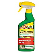 Neudorff BioKraft Grundstoff Schachtelhalm AF (500 ml) | BAUHAUS