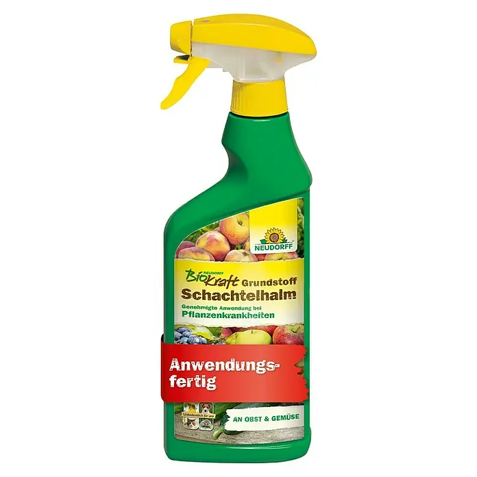 Neudorff BioKraft Grundstoff Schachtelhalm AF - 500 ml - Grüne Sprühflasche mit gelbem Sprühkopf für Pflanzenkrankheiten an Obst & Gemüse, anwendungsfertig.