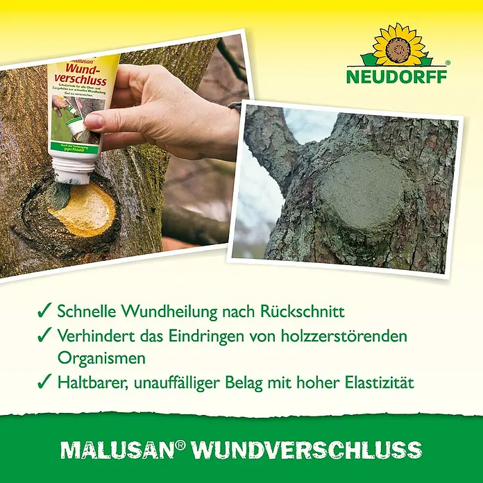 Neudorff Malusan Wundverschluss - 275 ml - Anwendung von Malusan Wundverschluss zum Schutz von Baumwunden vor Schädlingen und zur Förderung der Heilung.