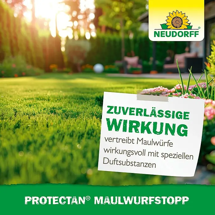 Neudorff Protectan Tiervertreiber Maulwurf-Stopp - 200 g - Produktbild des Neudorff Protectan Maulwurfstopp, das Maulwürfe mit Duftstoffen wirksam vertreibt.