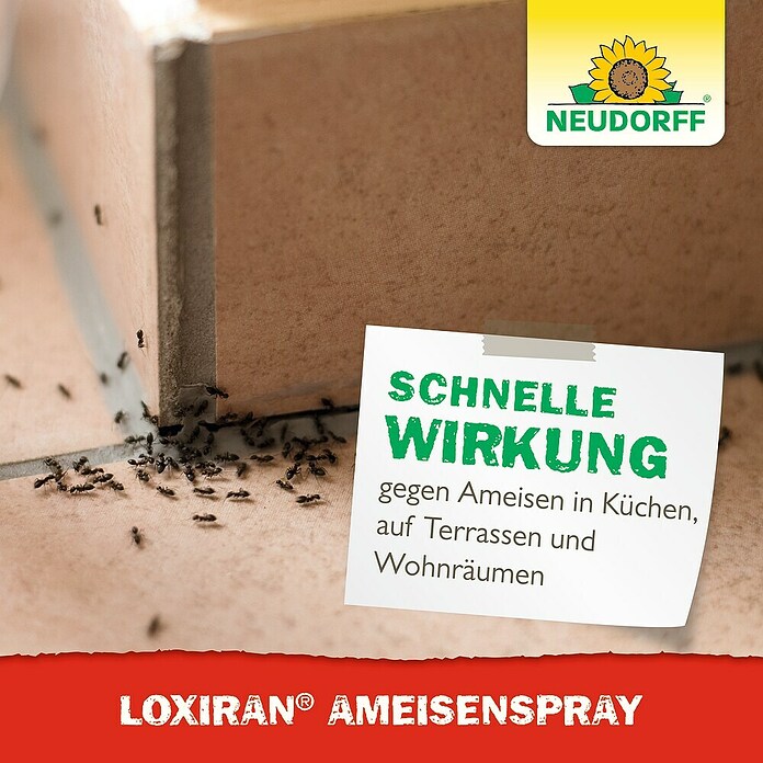 Neudorff Loxiran Ameisenspray (500 ml) | BAUHAUS