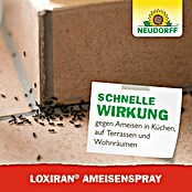 Neudorff Loxiran Ameisenspray (500 ml) | BAUHAUS
