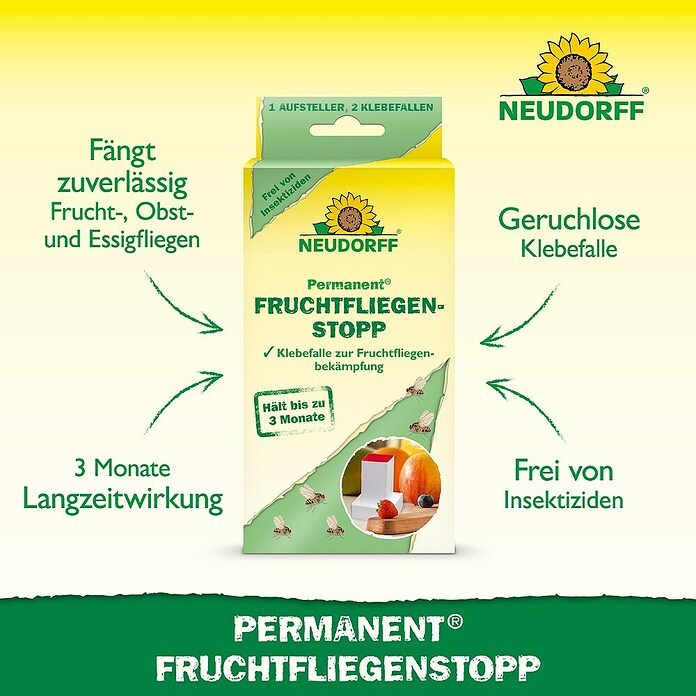 Neudorff Permanent Fruchtfliegen-Falle Fruchtfliegenstopp (3 Stk.) | BAUHAUS