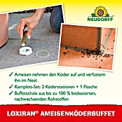 Neudorff Loxiran Ameisen-Buffet (2 Stk.)