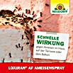 Neudorff Loxiran Ameisenspray (750 ml)