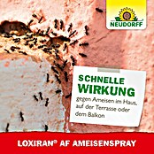 Neudorff Loxiran Ameisenspray (750 ml)