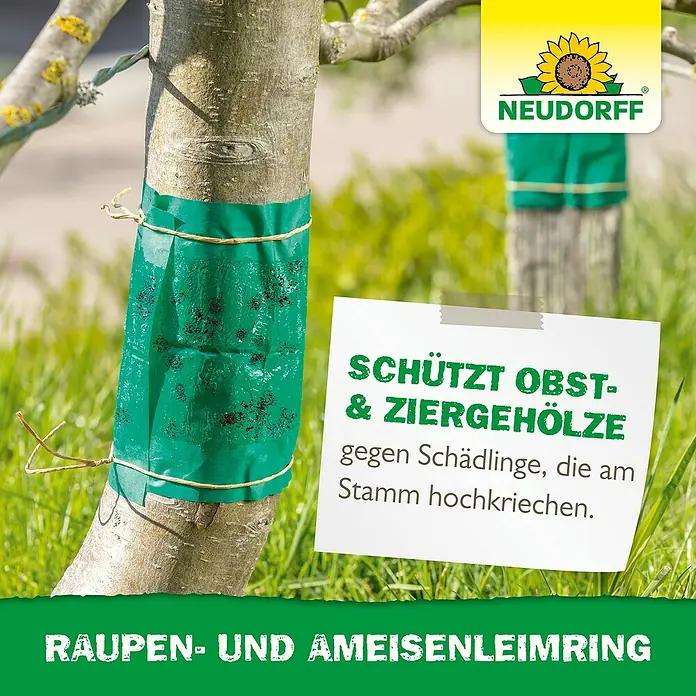 Neudorff Raupen- & Ameisenleimring - 5 m - Ein Obstbaum mit einem Raupen- und Ameisenleimring von Neudorff, der den Baum vor Schädlingen schützt.