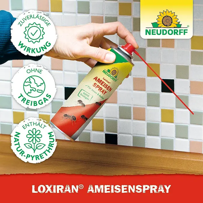 Neudorff Loxiran Ameisenspray - 400 ml - Eine Dose Neudorff Loxiran Ameisenspray wird vor einem gefliesten Hintergrund gehalten.