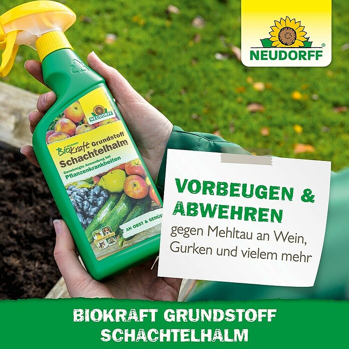 Neudorff BioKraft Grundstoff Schachtelhalm AF (500 ml) | BAUHAUS