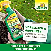 Neudorff BioKraft Grundstoff Schachtelhalm AF (500 ml) | BAUHAUS