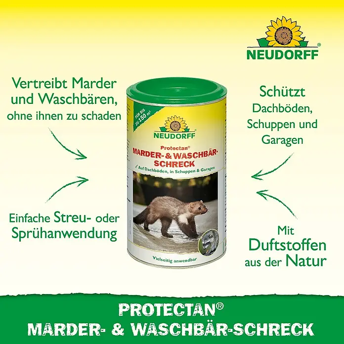 Neudorff Protectan Marder- & Waschbär-Schreck - 300 g - Dose Protectan Marder- & Waschbär-Schreck, ein Mittel zur Vertreibung von Mardern und Waschbären aus Dachböden, Schuppen und Garagen.