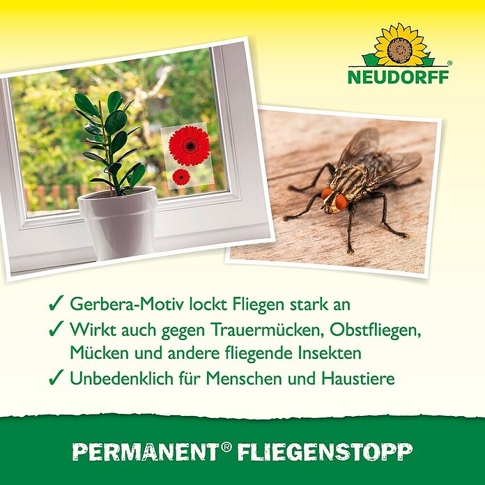 Neudorff Permanent Klebefalle Fliegenstopp (4 Stk.) | BAUHAUS