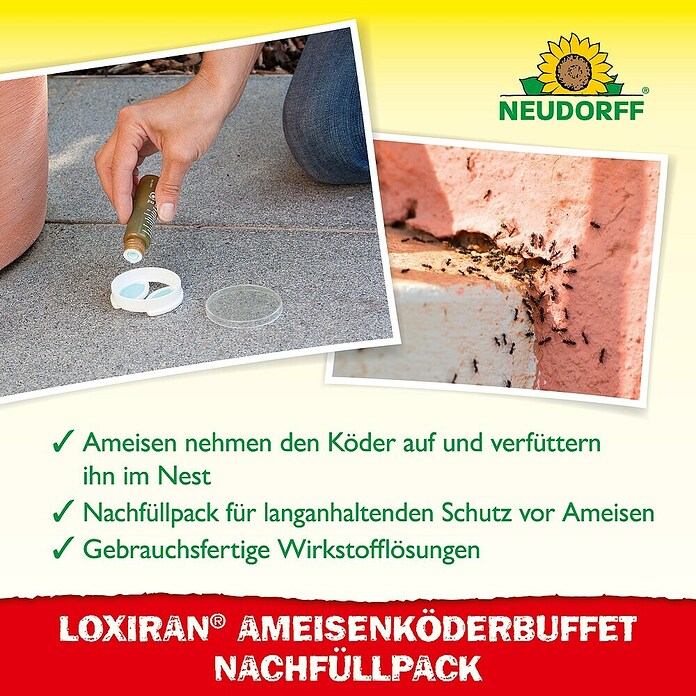 Neudorff Loxiran Ameisenköder (2 x 20 g)