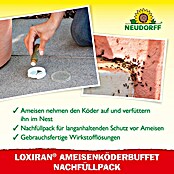 Neudorff Loxiran Ameisenköder (2 x 20 g)