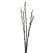 WEIDENKÄTZCHEN 60CM, CA. 8-12STIELE