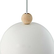 Nordlux Lámpara colgante redonda Gaston (40 W, Ø x Al: 20 x 200 cm, Blanco, E27) | BAUHAUS