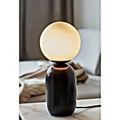 Nordlux Notti Tafellamp (Ø x h: 15 x 34,5 cm, Zwart, E14, 25 W) | BAUHAUS