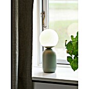 Nordlux Notti Tafellamp (Ø x h: 15 x 34,5 cm, Groen, E14, 25 W) | BAUHAUS