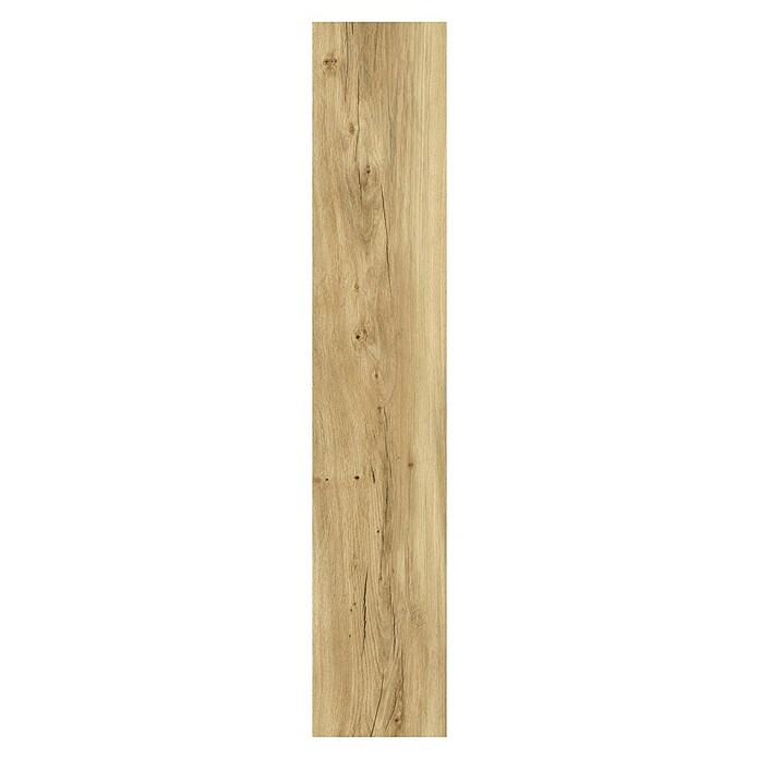 Vinylboden SPC Eiche Sierra Hell (122 x 22,9 x 4 mm, Landhausdiele, Sierra hell) | BAUHAUS