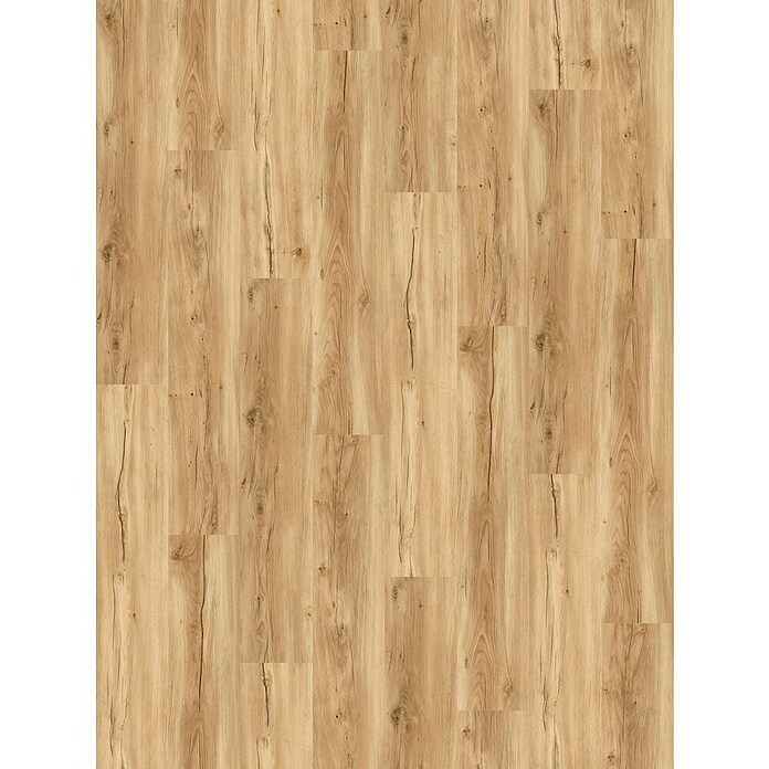 Vinylboden SPC Eiche Sierra Hell (122 x 22,9 x 4 mm, Landhausdiele, Sierra hell) | BAUHAUS