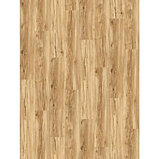 Vinylboden SPC Eiche Sierra Hell (122 x 22,9 x 4 mm, Landhausdiele, Sierra hell)