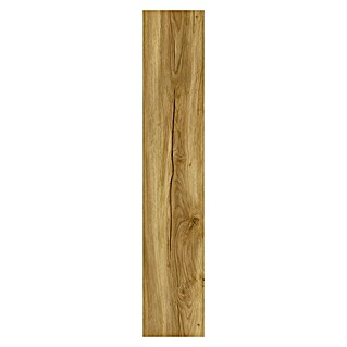 Vinylboden SPC Eiche Sierra Dunkel (122 x 22,9 x 4 mm, Landhausdiele, Sierra Dunkel)