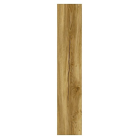 Vinylboden SPC Eiche Sierra Dunkel (122 x 22,9 x 4 mm, Landhausdiele, Sierra Dunkel)