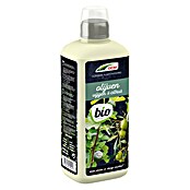 DCM Meststof voor olijfbomen (800 ml) | BAUHAUS