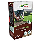 DCM Gazonherstel (1,2 kg, Zaaigoed-voldoende voor: 80 m²) | BAUHAUS