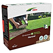 DCM Gazonherstel (225 g, Zaaigoed-voldoende voor: 15 m²) | BAUHAUS