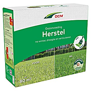 DCM Gazonherstel (3 kg)
