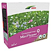 DCM Graszaad voor bijzaai met bloemen (1,9 kg, 50 m²) | BAUHAUS