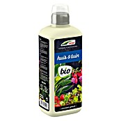 DCM Vloeibare meststof Huis & Tuin (800 ml) | BAUHAUS