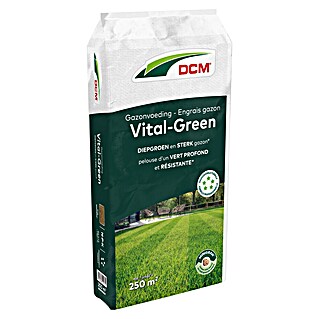 DCM Gazonmest Vital-Green (10 kg, Max toepassingsvlak: 250 m²)