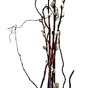 WEIDENKÄTZCHEN 80CM, M. DREHWEIDE, CA. 5-8 STIELE