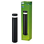 Philips Baliza exterior LED Lavanda (6 W, Blanco frío, IP44) | BAUHAUS